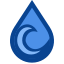 torrent